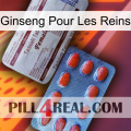 Ginseng For Kidney 36